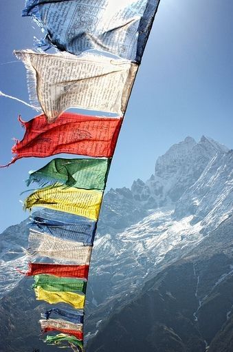 Image photo_5